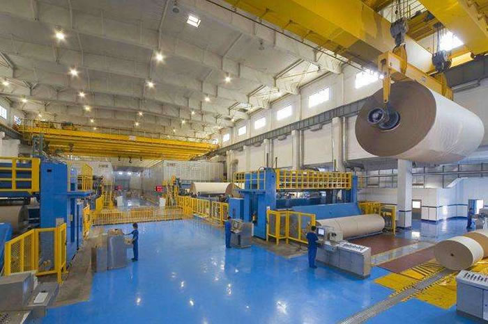 Cranes for Paper Industry