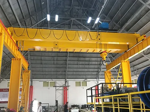 Double Girder Overhead Crane